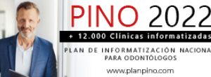 pino300x100